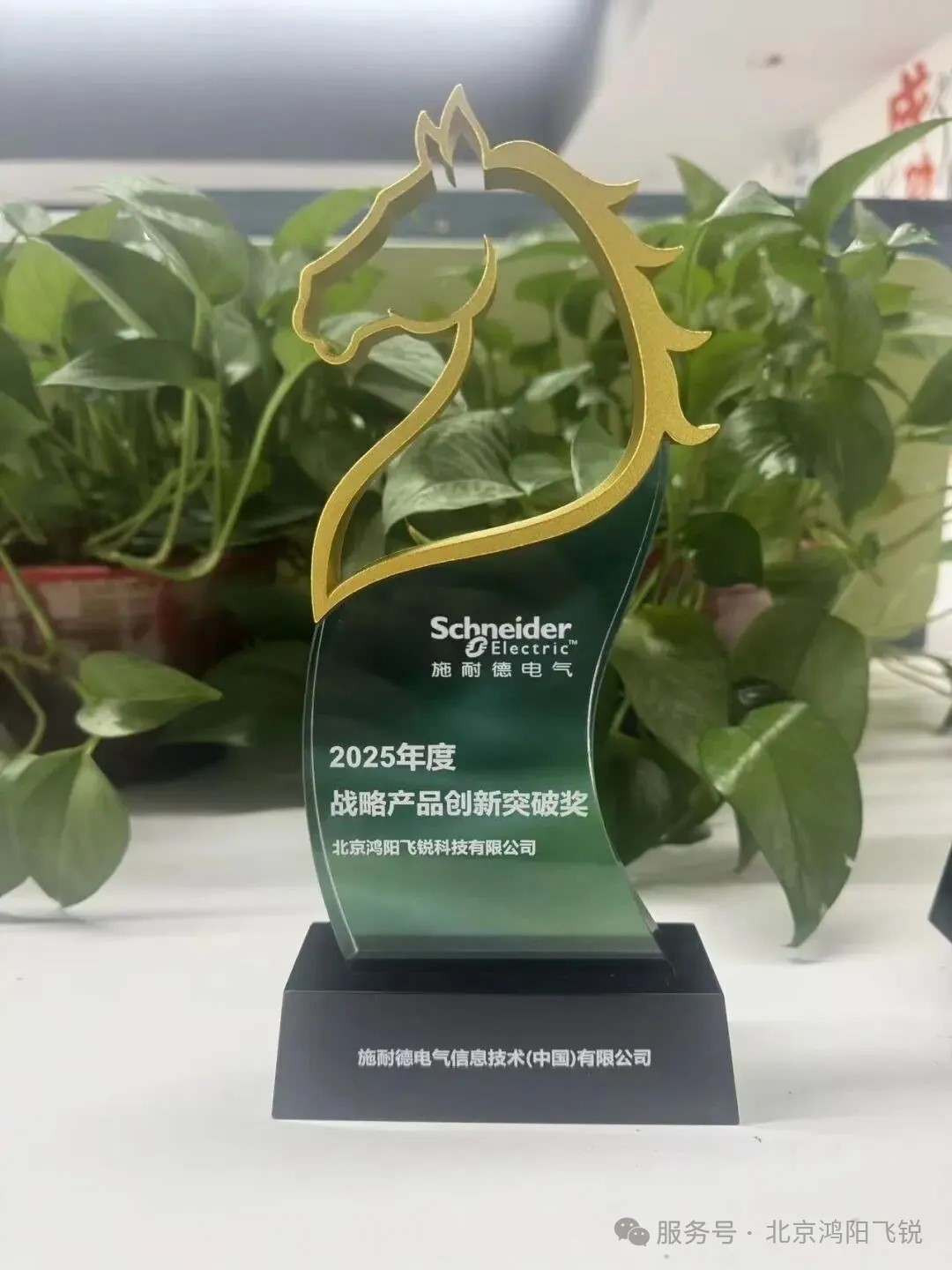 北京鸿阳飞锐科技